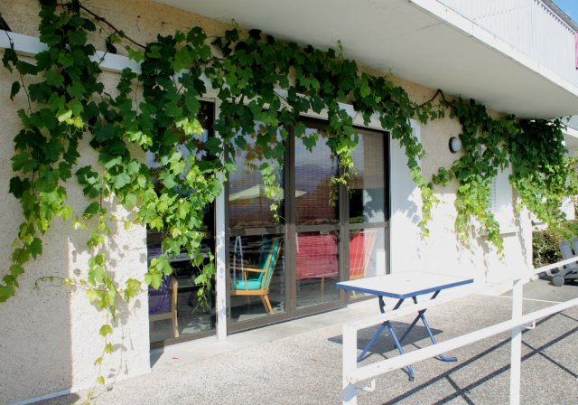 Vines on the terrace